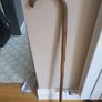 Walking stick Image 2