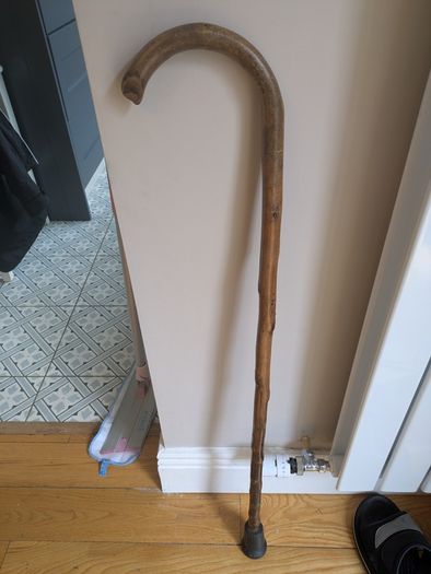Walking stick