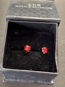 14k Gold Earings Ladybug