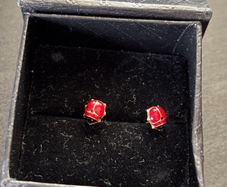 14k Gold Earings Ladybug