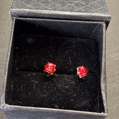 14k Gold Earings Ladybug