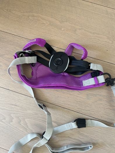 Toddler harness