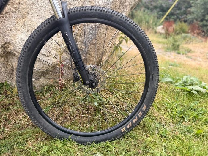 Orbea Onna 50