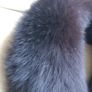 Fox Fur Collar Black (Genuine Fur) Excellent Condition Image 3