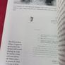 The Irish Civil War/ Law,Execution & Atrocity/ Sean Enright/ 2022 Image 7