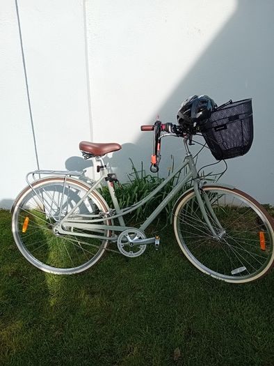 Ladies Bike