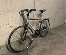 Raleigh Speed hybrid bike