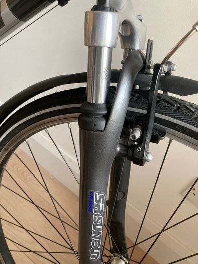 Women's Raleigh bike