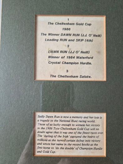 Signed Horse racing memorabilia Dawn Run Jonjo O'Neill