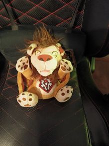 World of Warcraft Wind Rider Cub Plush + UNUSED In-Game Code