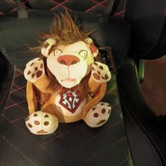 World of Warcraft Wind Rider Cub Plush + UNUSED In-Game Code