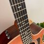 TAYLOR 414ce Studio Sunset Blvd  SEB - New Model Image 6