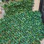 Artificial hedging Image 2