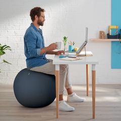 Ergonomically Designed Desk Chair Alternative, 65cm Diameter, Includes Fabric Ball Cover, Hand Air Pump & 2 x Plugs, Ergo Cosy Range, Velvet Grey,