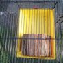 hamster cage Image 9