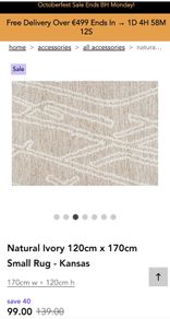 EZ living  Rug
