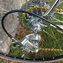 PDM Concorde 53 cm ctc SLX Campagnolo Chorus 10 speed Image 4