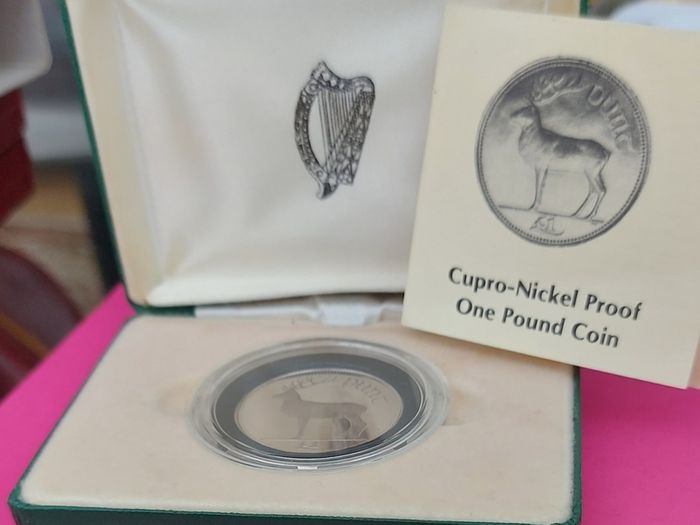 Ireland 1990 Proof One Pound Coin