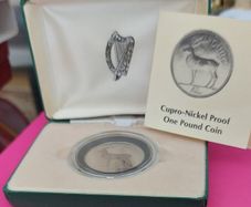 Ireland 1990 Proof One Pound Coin