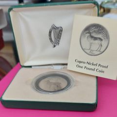 Ireland 1990 Proof One Pound Coin