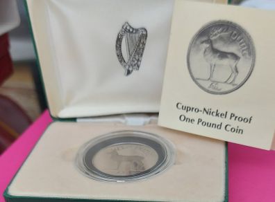 Ireland 1990 Proof One Pound Coin
