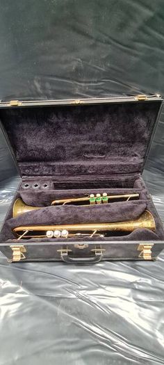 Trumpet cases