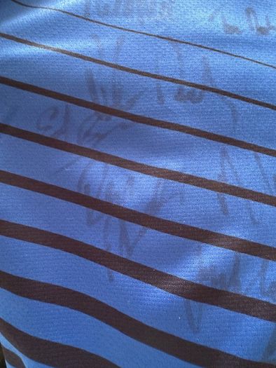 leinster  Rugby Jersey signed by the team
