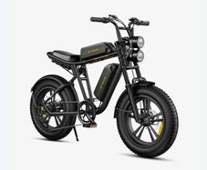 Engwe M20 Dual Battery