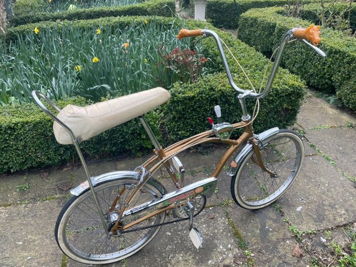 Raleigh rodeo vintage bike