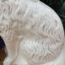 A Pair of Nineteenth Century Staffordshire Dogs(12") Image 10
