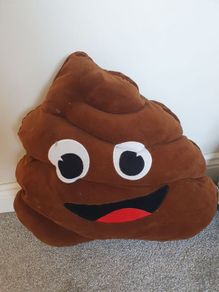poo emoji cushion