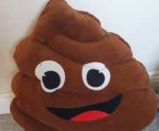 poo emoji cushion
