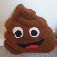 poo emoji cushion