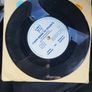 Arnold Gutbucket and Humphrey Camelfoot Mary Rose 7 inch Vinyl Bucket Records BUCK 005 Image 5