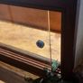 Handmade terrarium Image 2