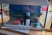 Elite Aquarium
