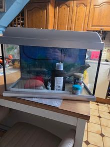 Elite Aquarium