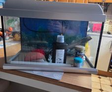 Elite Aquarium