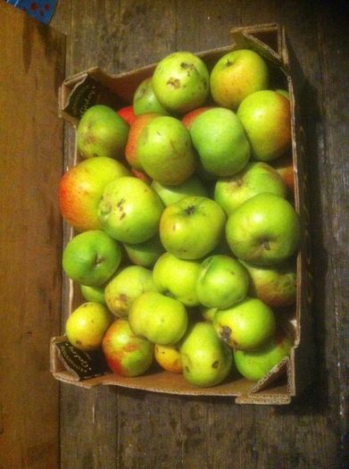 Cooking Apples
