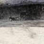 billhook slasher cutter hedge layer Image 10