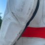 Dainese one piece suit Image 5