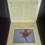 Jungle French Photicular Moving Image Book Image 3