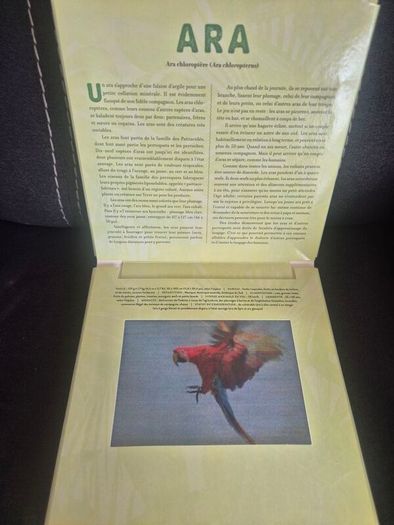 Jungle French Photicular Moving Image Book