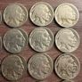 Buffalo Nickel Lot Image 6