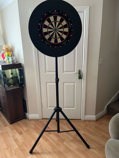 Target Dart Board