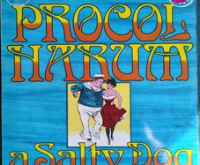 Procol Harum - A Salty Dog Vinyl LP (1972) Original UK Compilation Psychedelic Prog Rock EX+