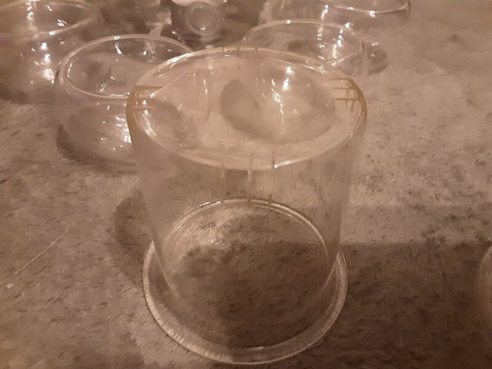 Glass Infusion T- Pot and cup's