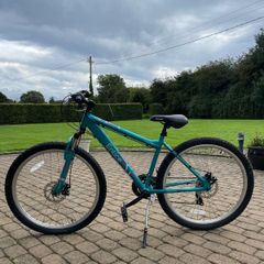 Apollo 17 inch bike