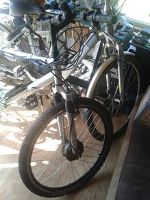 Electric Bike