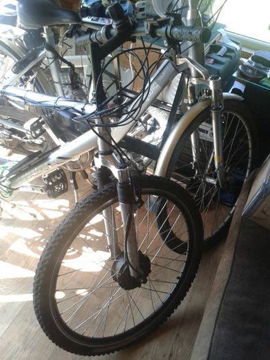 Electric Bike